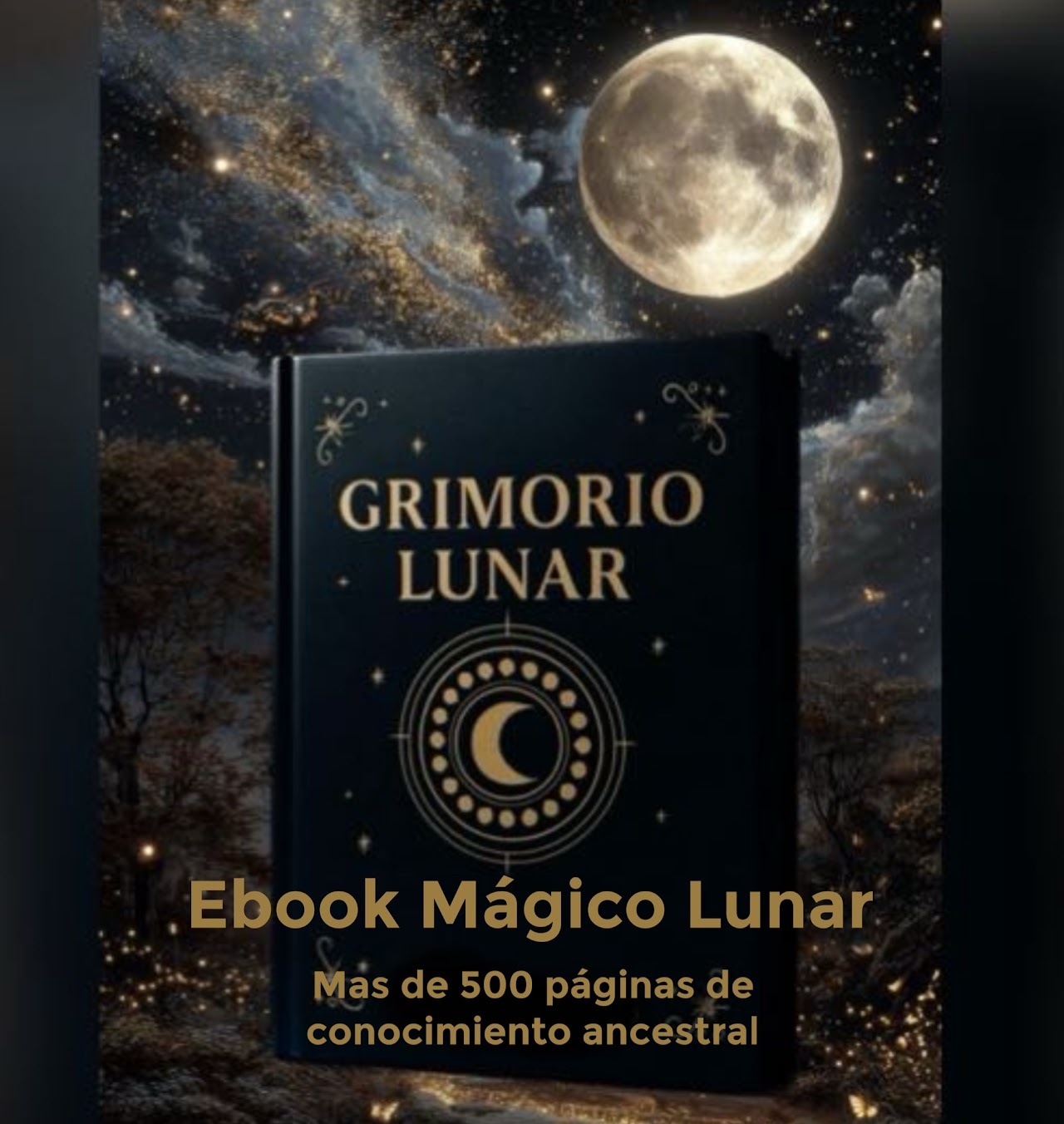 Próximamente — programa en desarrollo, pronto disponible