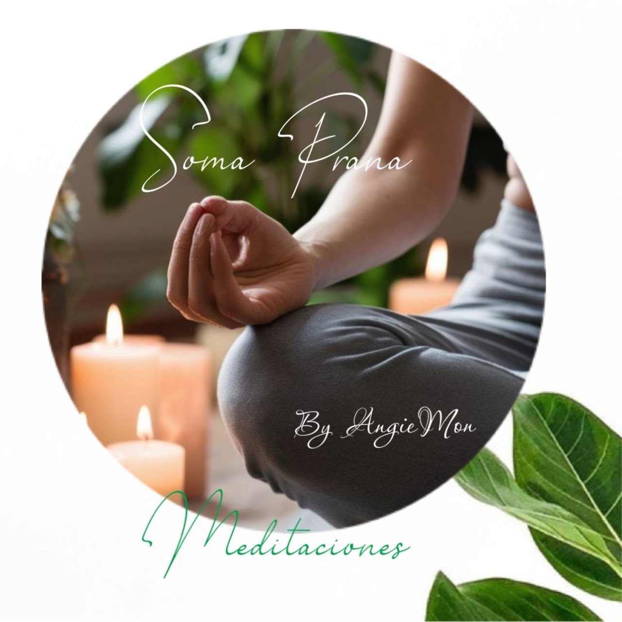 Próximamente — programa en desarrollo, pronto disponible