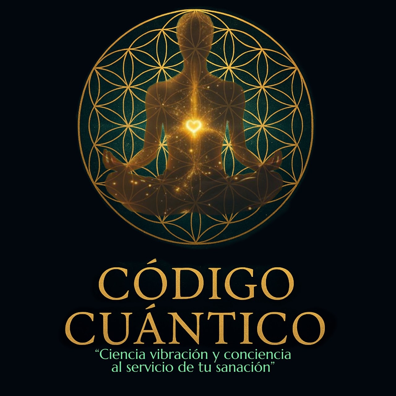 Próximamente — programa en desarrollo, pronto disponible